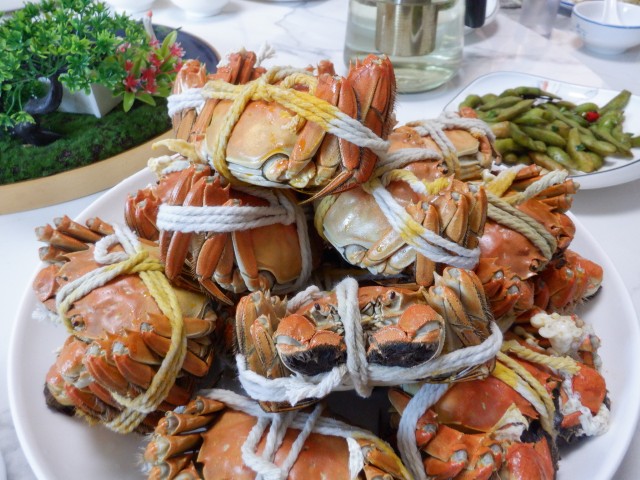 上海  2 DSCF5062 小